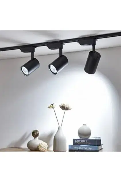 30W COB LED RAY SPOT SİYAH KASA 6500K YCL