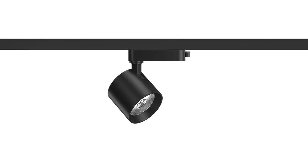 30W RAY SPOT ARMATÜR SİYAH KASA 4000K GOYA